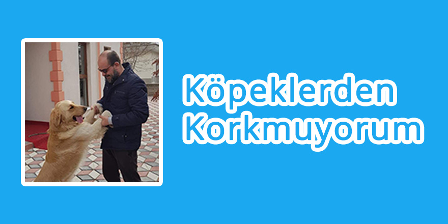 Köpeklerden Korkmuyorum!