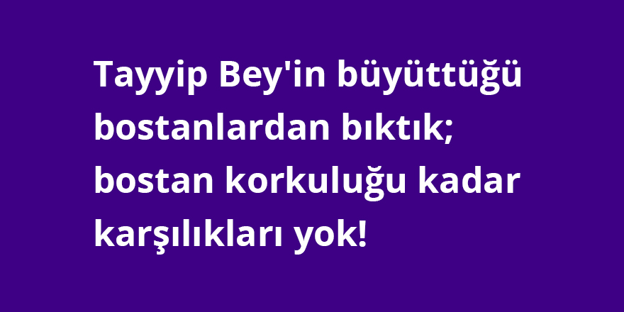 Tayyip Bey'in büyüttüğü bostanlardan bıktık; bostan korkuluğu kadar karşılıkları yok!