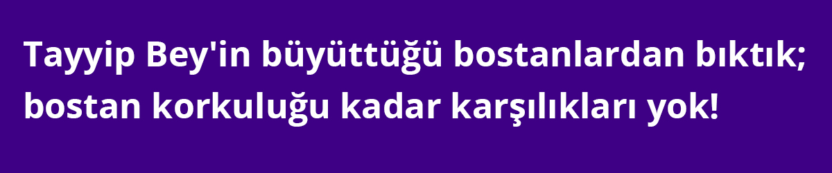 Tayyip Bey'in büyüttüğü bostanlardan bıktık; bostan korkuluğu kadar karşılıkları yok!