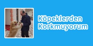 Köpeklerden Korkmuyorum!