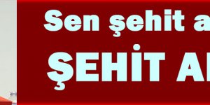 Sen şehit anasısın, şehit anası!