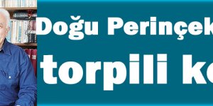 Doğu Perinçek’in oğlunun torpili kendisi!
