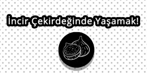 İncir Çekirdeğinde Yaşamak!