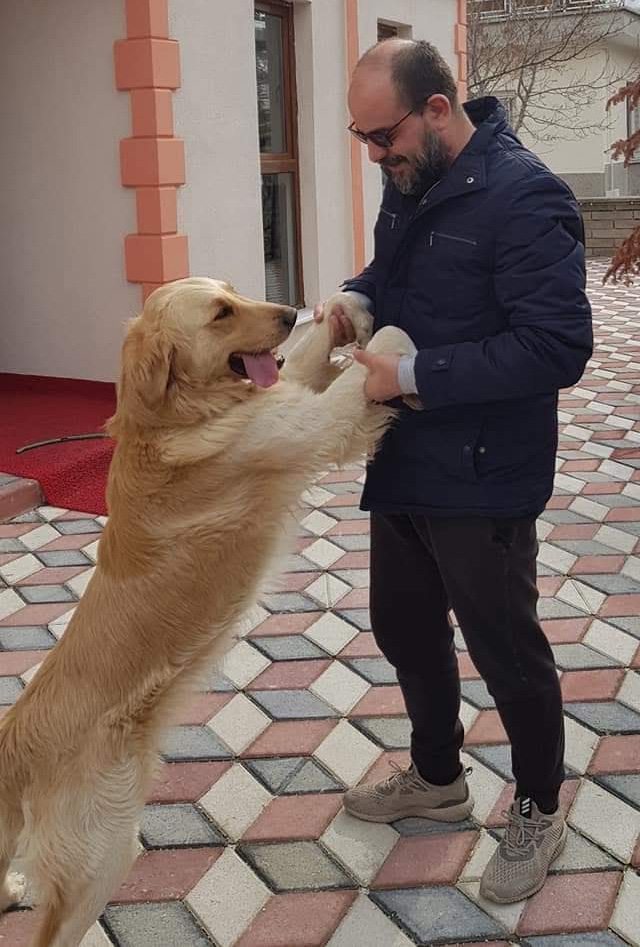 kopeklerdenkorkmuyorum.jpg